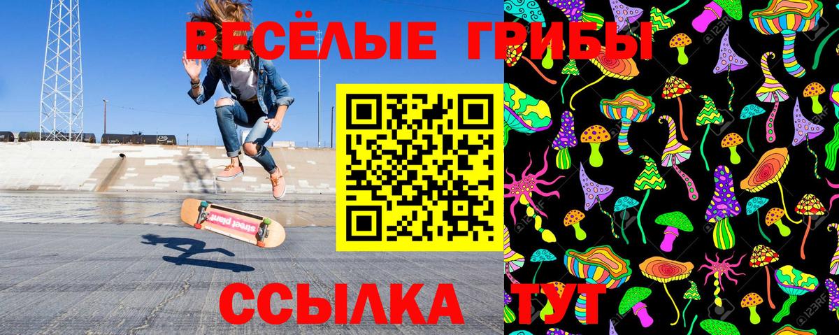 Галлюциногенные грибы Cubensis  Вход с VPN  Галлюциногенные грибы ЛСД  Сунжа 