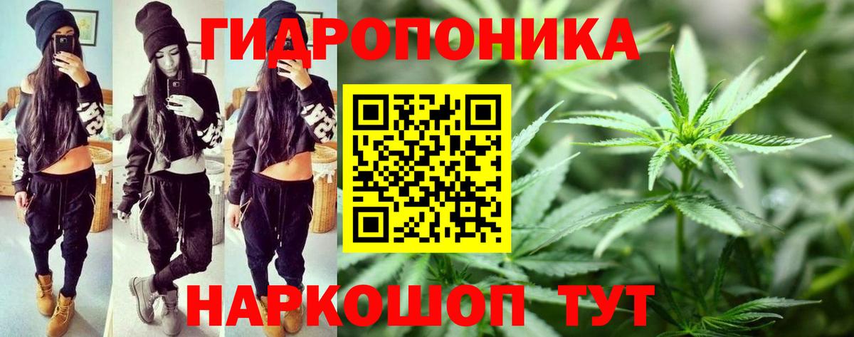 Бошки Шишки сатива Сунжа